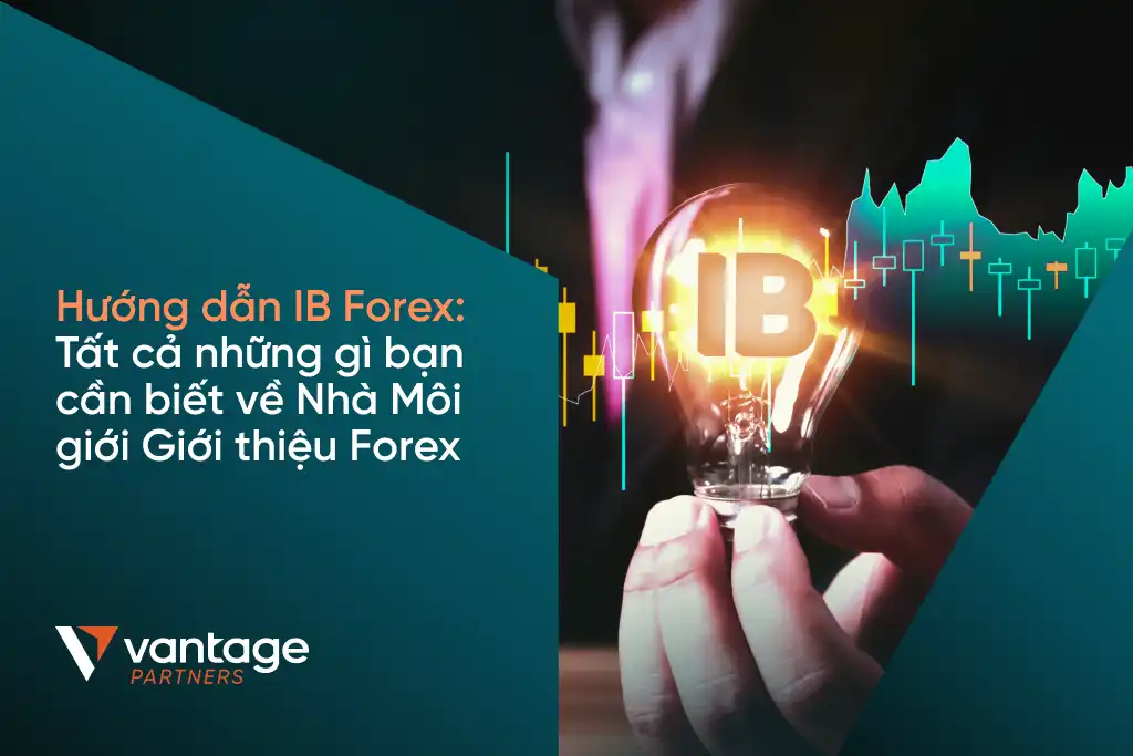 Nhà môi giới giới thiệu Forex (IB): Hướng dẫn toàn diện